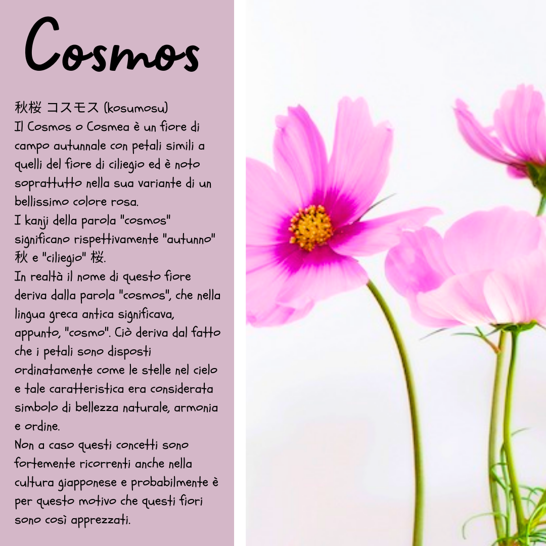 Orecchini "Cosmos"